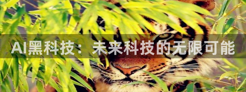 AI黑科技：未来科技的无限可能