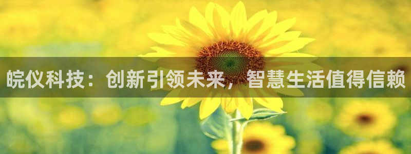 皖仪科技：创新引领未来，智慧生活值得信赖