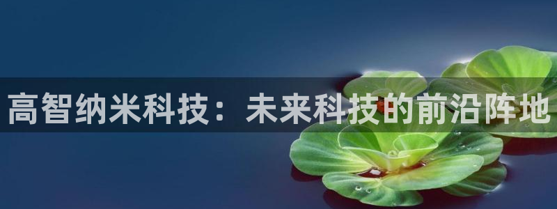 高智纳米科技：未来科技的前沿阵地