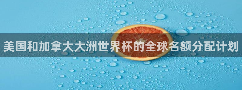 美国和加拿大大洲世界杯的全球名额分配计划