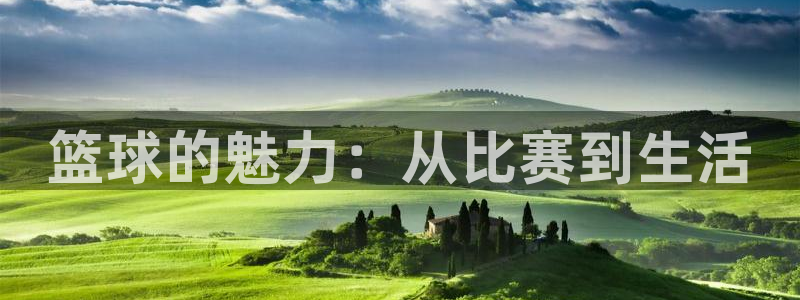 篮球的魅力：从比赛到生活