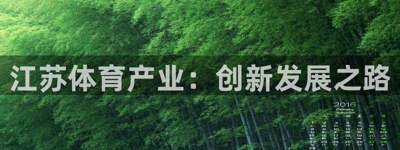 江苏体育产业：创新发展之路