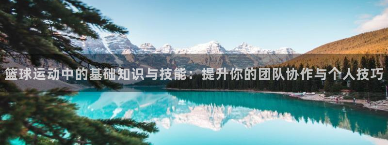 篮球运动中的基础知识与技能：提升你的团队协作与个人技巧