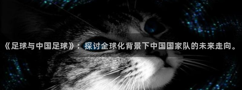 《足球与中国足球》：探讨全球化背景下中国国家队的未来走向。