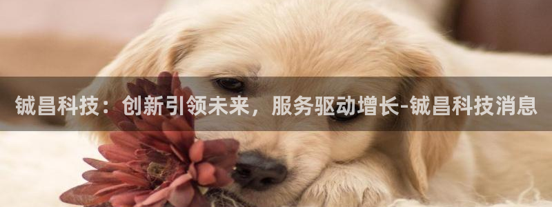 铖昌科技：创新引领未来，服务驱动增长-铖昌科技消息