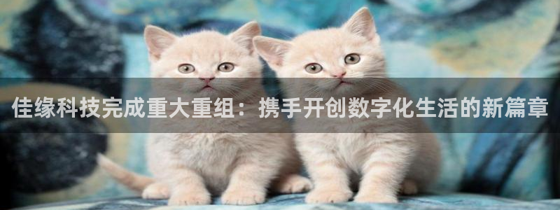 佳缘科技完成重大重组：携手开创数字化生活的新篇章