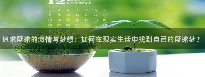追求篮球的激情与梦想：如何在现实生活中找到自己的篮球梦？