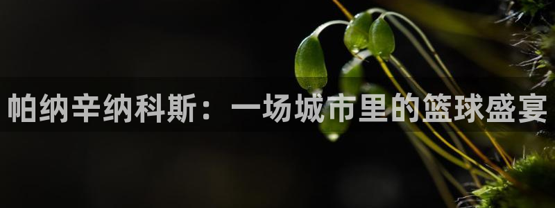 帕纳辛纳科斯：一场城市里的篮球盛宴