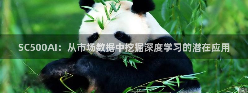 SC500AI：从市场数据中挖掘深度学习的潜在应用