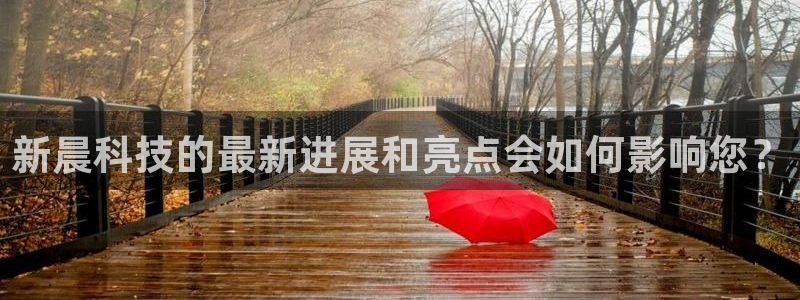 新晨科技的最新进展和亮点会如何影响您？