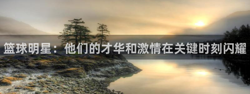 篮球明星：他们的才华和激情在关键时刻闪耀