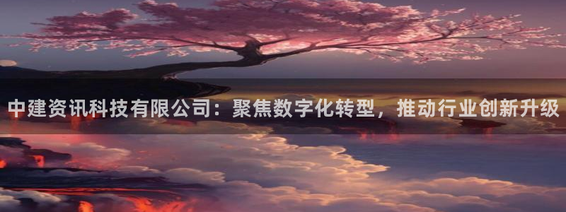 中建资讯科技有限公司：聚焦数字化转型，推动行业创新升级