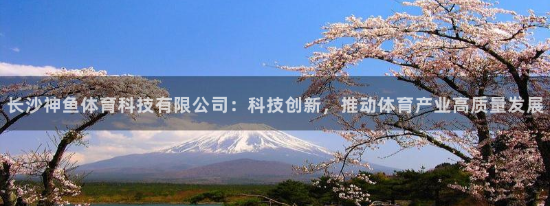 长沙神鱼体育科技有限公司：科技创新，推动体育产业高质量发展