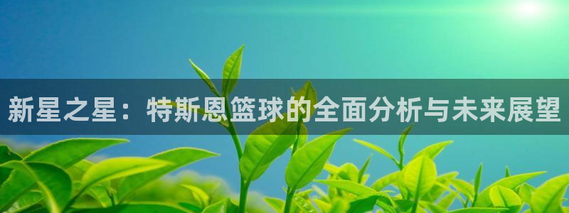 新星之星：特斯恩篮球的全面分析与未来展望