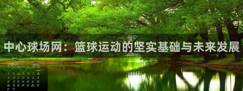 中心球场网：篮球运动的坚实基础与未来发展
