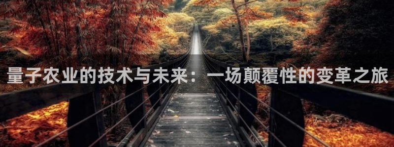 量子农业的技术与未来：一场颠覆性的变革之旅