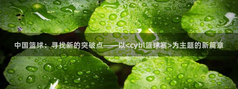 中国篮球：寻找新的突破点——以<cybl篮球赛>为主题的新篇章
