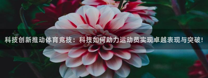 科技创新推动体育竞技：科技如何助力运动员实现卓越表现与突破!