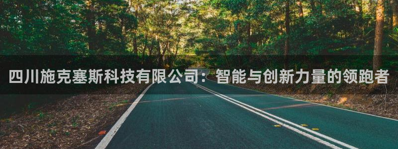 四川施克塞斯科技有限公司：智能与创新力量的领跑者