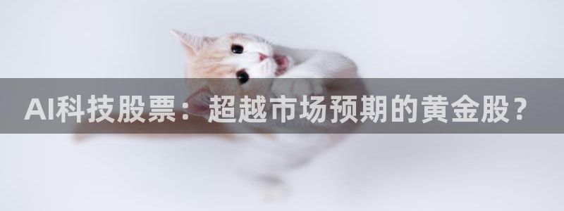 AI科技股票：超越市场预期的黄金股？
