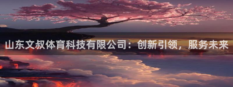 山东文叔体育科技有限公司：创新引领，服务未来