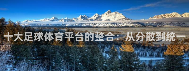 十大足球体育平台的整合：从分散到统一