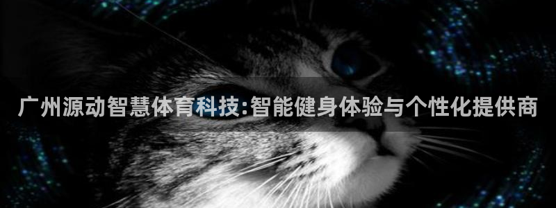 广州源动智慧体育科技:智能健身体验与个性化提供商