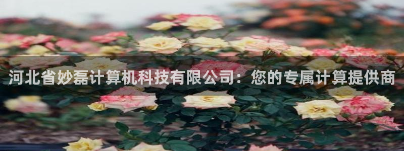 河北省妙磊计算机科技有限公司：您的专属计算提供商