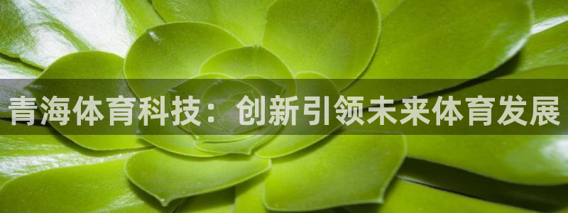 青海体育科技：创新引领未来体育发展