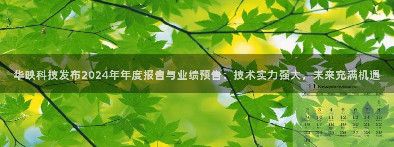 华映科技发布2024年年度报告与业绩预告：技术实力强大，未来充满机遇