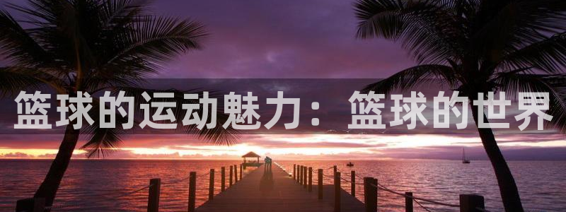 篮球的运动魅力：篮球的世界