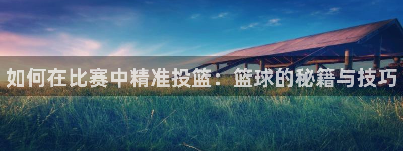如何在比赛中精准投篮：篮球的秘籍与技巧