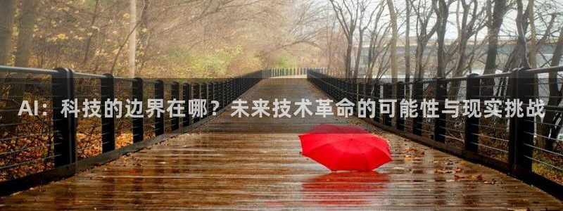 AI：科技的边界在哪？未来技术革命的可能性与现实挑战